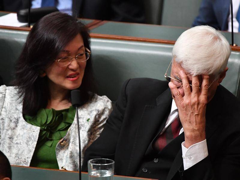 Liberal MP Gladys Liu (L) says she's still auditing donations and ties to China-linked groups.