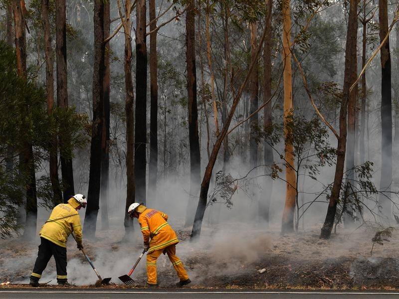 NSW fire authorities are again bracing for the danger from extreme heat coupled with strong winds.