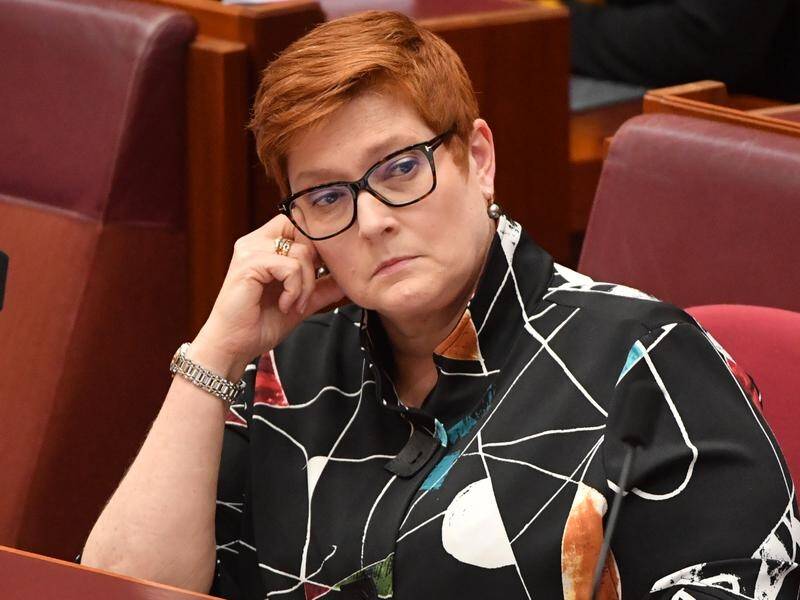 Foreign Minister Marise Payne warns that foreign interference is rife across the world.