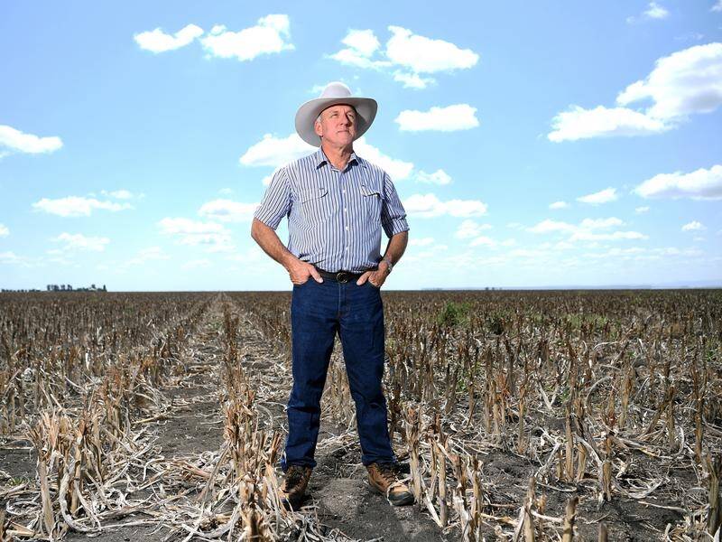 Queensland farmer David Gooding could receive some of the $100 million federal drought assistance.