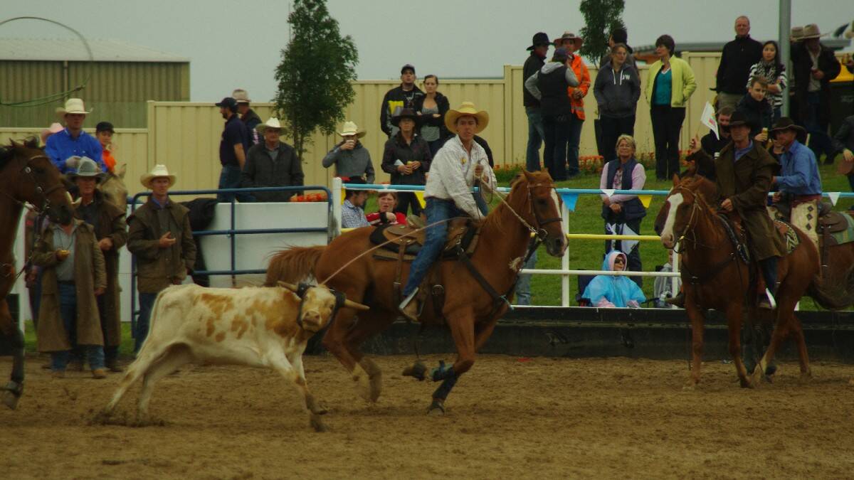 GALLERY: Goulburn Rodeo 2014
