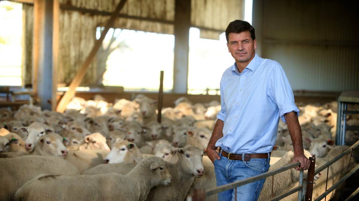 Member for Hume Angus Taylor said that the funding will go towards investment in projects that support jobs and businesses.
